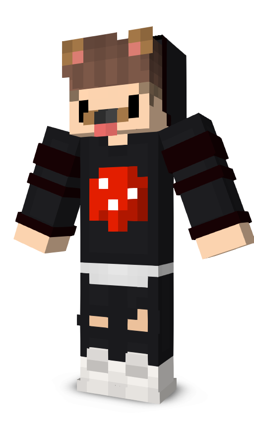 The skin of BuddieDJ, who built Minecraftstore